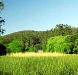 Waterholes Guest House - Tweed Heads Accommodation