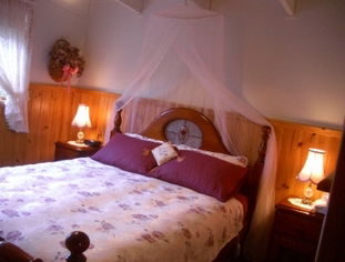 Alfay Cottage - Tweed Heads Accommodation 1