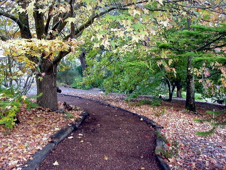 Brigadoon Cottages - Tweed Heads Accommodation 3