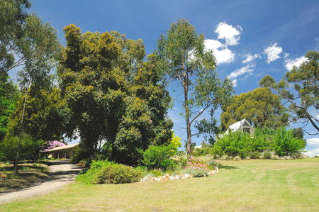 Brigadoon Cottages - Tweed Heads Accommodation 5