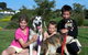 Hopkins River Caravan Park - thumb 1