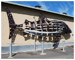 Apollo Bay Recreation Reserve Caravan And Camp Park - Tweed Heads Accommodation 1