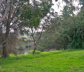 Apollo Bay Recreation Reserve Caravan And Camp Park - Tweed Heads Accommodation 3