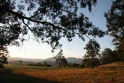 Cann River Rainforest Caravan Park - Tweed Heads Accommodation 0