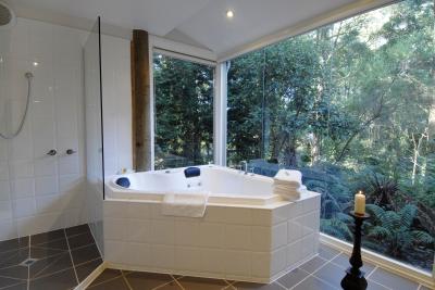 Arnica Views Luxury Retreat - Tweed Heads Accommodation 1