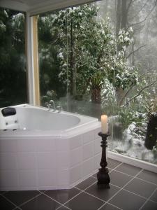 Arnica Views Luxury Retreat - Tweed Heads Accommodation 3