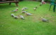 Apollo Bay Backpackers - thumb 4