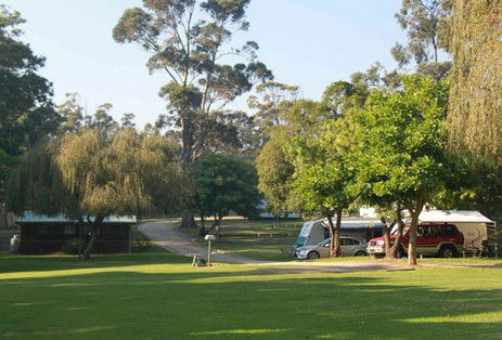 A Wangralea Caravan Park - Tweed Heads Accommodation 3