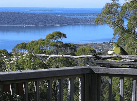 Bed in the Treetops - Tweed Heads Accommodation