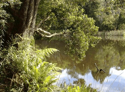 Weldborough Hotel - Tweed Heads Accommodation 0