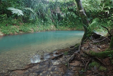 Diwan QLD Tweed Heads Accommodation