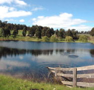 Glenlynn Cottages - Tweed Heads Accommodation