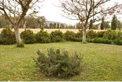 Claremont Cottage - Tweed Heads Accommodation 2