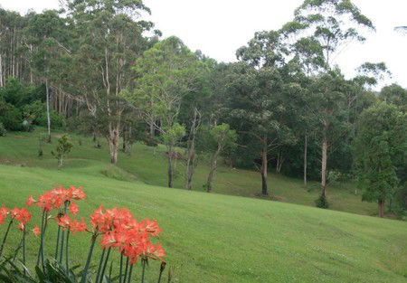 Woodridge Park Country Retreat - Tweed Heads Accommodation 3