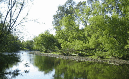 Ribbonwood Cottages - Tweed Heads Accommodation