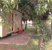 Carinya Cabins  Caravan Park - Tweed Heads Accommodation