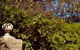 Rose Parterre B & B - thumb 3