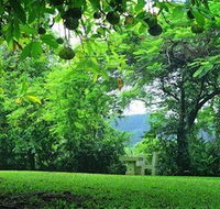 Misty Mountain Retreat - Tweed Heads Accommodation