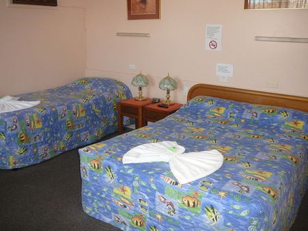 Civic Motel Grafton - Tweed Heads Accommodation 2