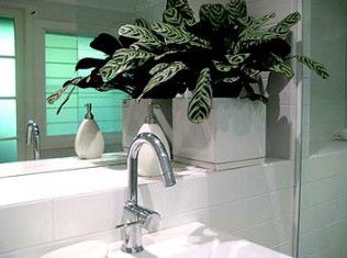 Annalilli - Tweed Heads Accommodation 2