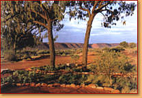 Kings Creek Station - Tweed Heads Accommodation 1