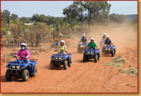 Kings Creek Station - Tweed Heads Accommodation 3
