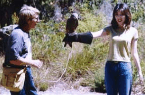Eagles Heritage Raptor Wildlife Centre - Tweed Heads Accommodation 2