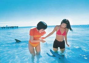  Tweed Heads Accommodation