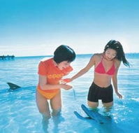 Kookaburra Air - Tweed Heads Accommodation