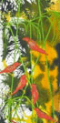 Jahroc Mill Gallery - Tweed Heads Accommodation 3