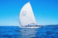 Manly Harbour Village - Tweed Heads Accommodation