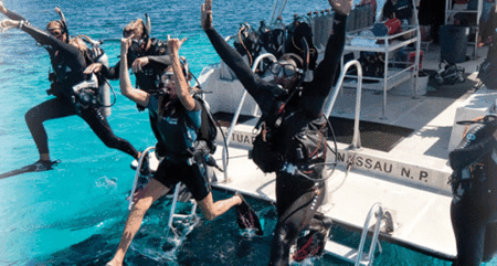 Snorkel Safari Brisbane - Tweed Heads Accommodation