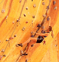 Rocksports Indoor Climbing - Tweed Heads Accommodation