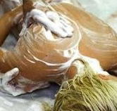 Exotique Massage - Tweed Heads Accommodation