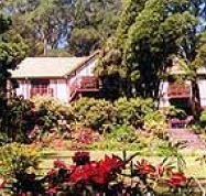 Delvin Health Retreat - Tweed Heads Accommodation