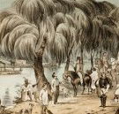 Joshua McClelland Print Room - Tweed Heads Accommodation
