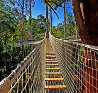 Thunderbird Park - Tweed Heads Accommodation