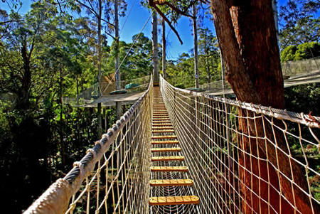 Thunderbird Park - Tweed Heads Accommodation 0