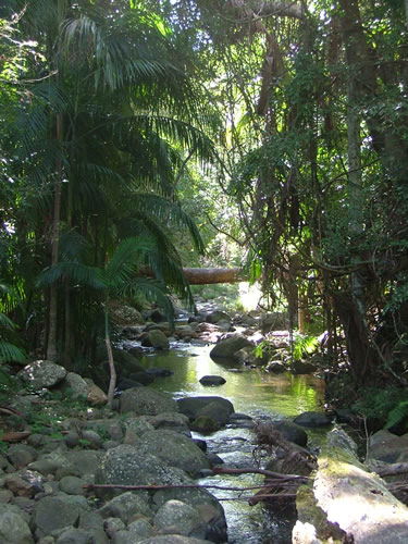 Thunderbird Park - Tweed Heads Accommodation 2