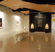 Counihan Gallery In Brunswick - Tweed Heads Accommodation