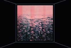 Paradise Hills - Tweed Heads Accommodation 1