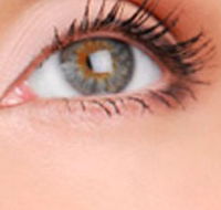 Cinnamon Stix Hair  Day Spa - Tweed Heads Accommodation