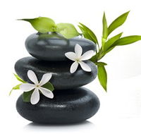 Tea House Spa Sauna - Tweed Heads Accommodation