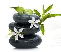 Tea House Spa Sauna - Tweed Heads Accommodation 0