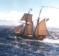 Enterprize - Melbourne's Tall Ship - Tweed Heads Accommodation