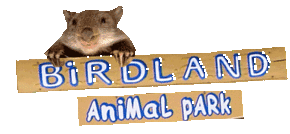 Birdland Animal Park - Tweed Heads Accommodation 0