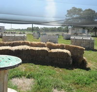 We Are Paintball - Tweed Heads Accommodation