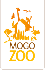 Mogo Zoo - Tweed Heads Accommodation 0