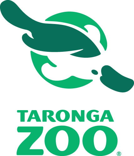 Taronga Zoo - Tweed Heads Accommodation 0