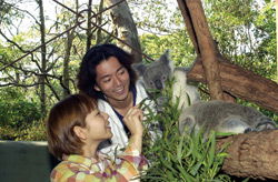 Taronga Zoo - Tweed Heads Accommodation 2